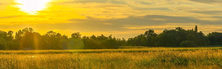 Ridgefield, Washington. A New Luxury Home Destination